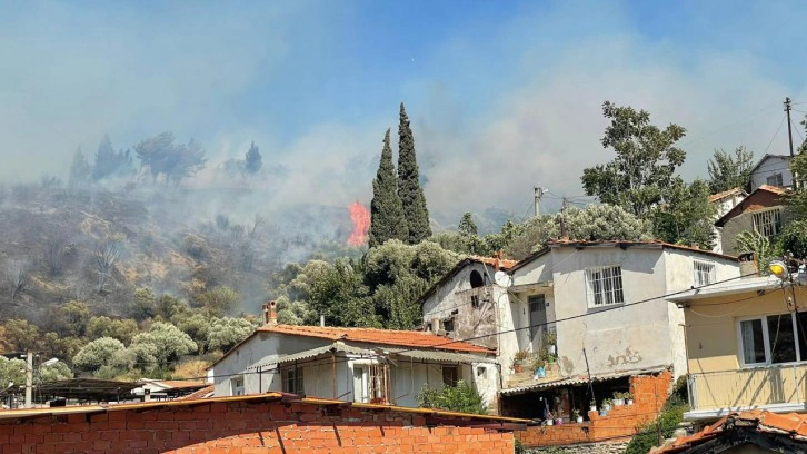 Aydın'da yangın: 10 dönümlük alan zarar gördü