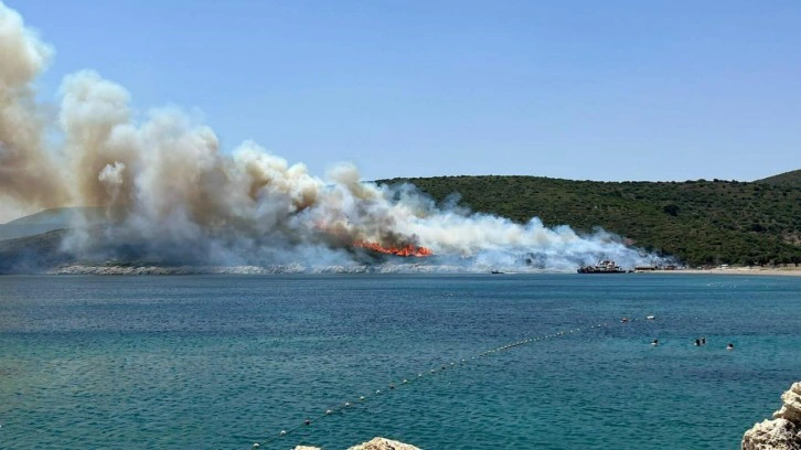 İzmir ve Muğla'da korkutan yangın!