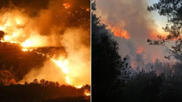 3 ilde orman yangını: Evler yandı, vatandaşlar tahliye edildi, 2 kişi gözaltında