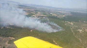 İzmir'de orman yangını! Ekipler hem karadan hem havadan müdahale ediyor