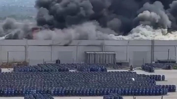 İzmir’de palet fabrikasında büyük yangın