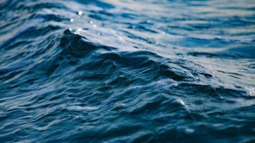 Limnoloji nedir, neyi inceler? İç suların gizemli dünyasını aydınlatan bilim dalı