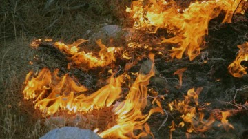 Orman yangını çıkardığı öne sürülen zanlı tutuklandı