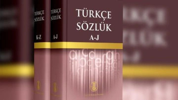TDK, 'Türkiyeli' kelimesi nedeniyle kendi kararı hakkında inceleme başlattı