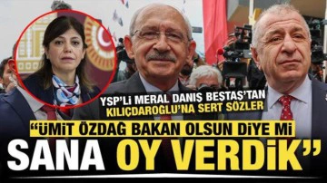 YSP'li Beştaş: Biz Ümit Özdağ bakan olsun diye mi Kılıçdaroğlu'na oy verdik?